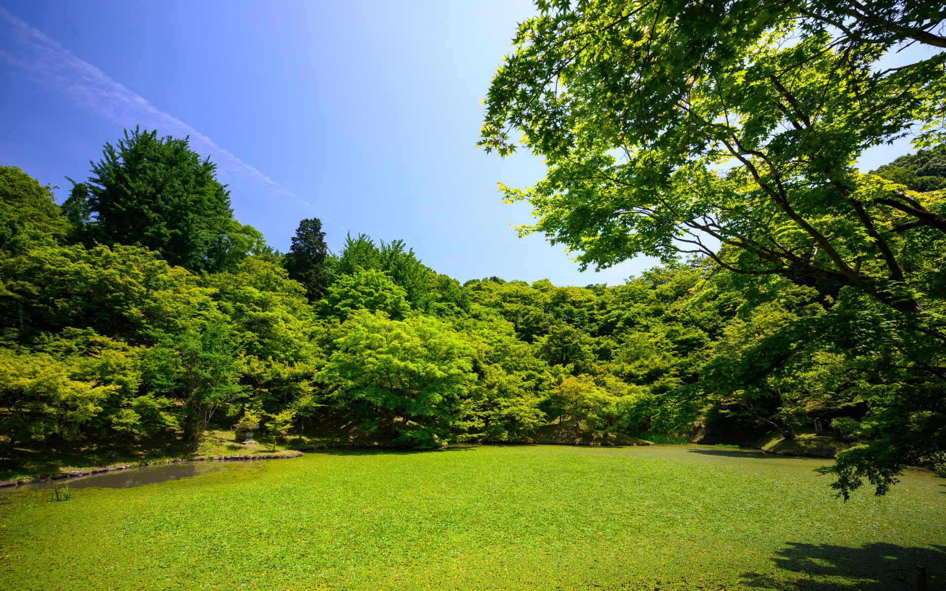 Holiday-Hills-2