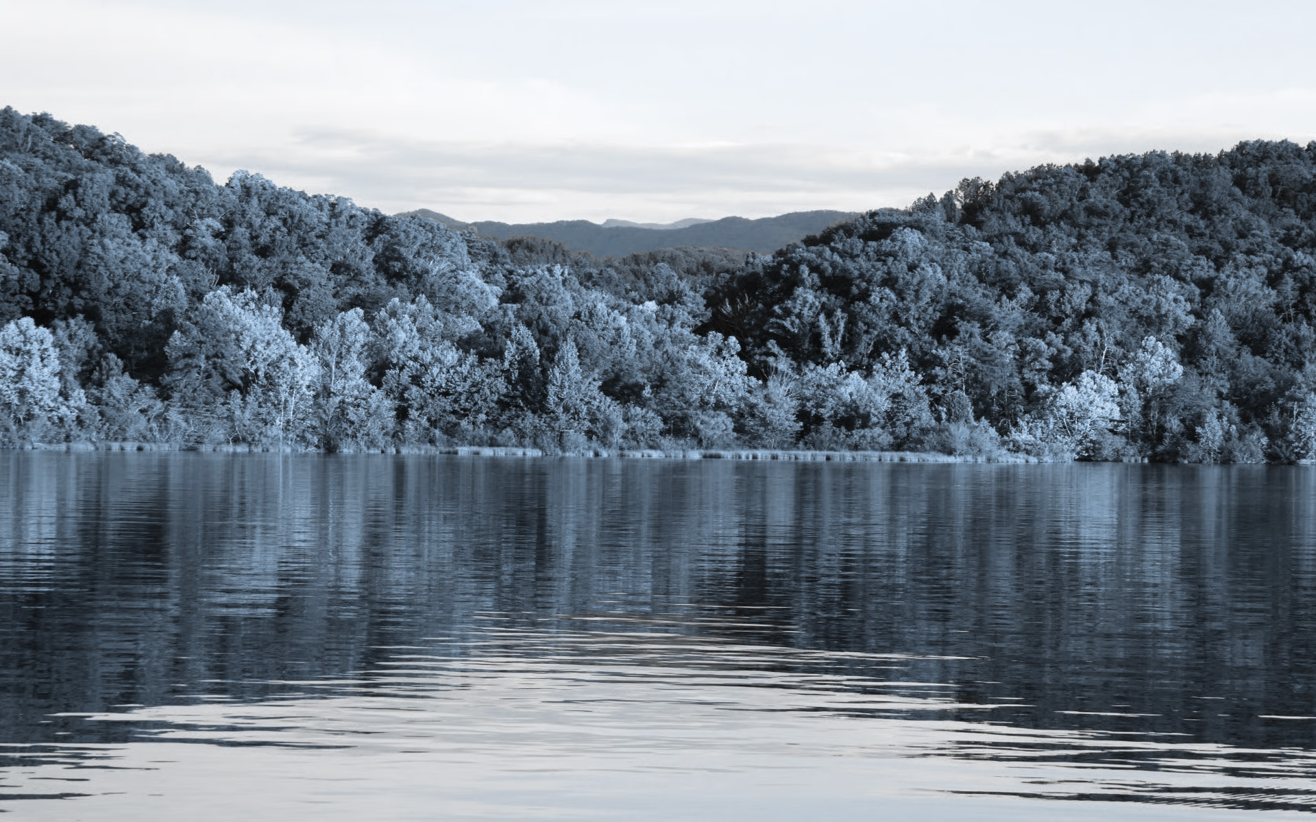 Lake-Tansi-Village
